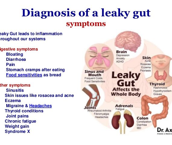 What is Leaky Gut Syndrome?